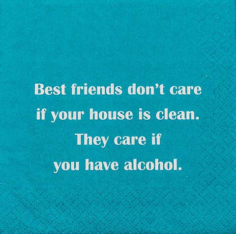 Best Friends/House Clean- Napkin (20172)